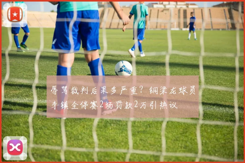 辱骂裁判后果多严重？铜梁龙球员李镇全停赛2场罚款2万引热议